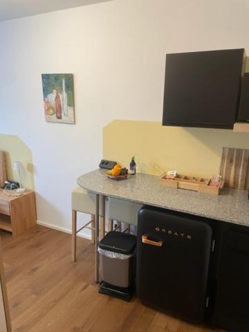 1 Zimmer Appartement Nahe Gmunden Top2 Pinsdorf Exteriör bild